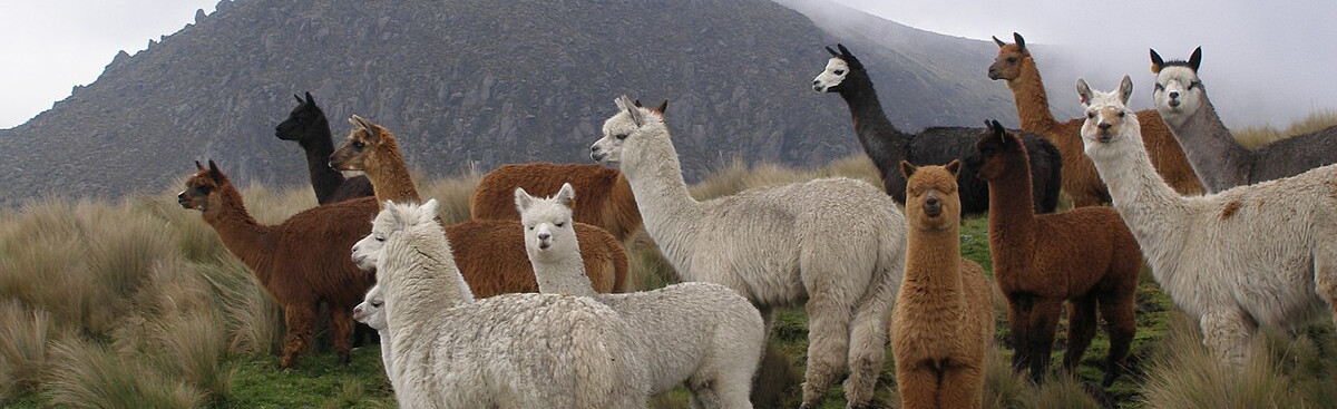 Startseite der Einrichtung